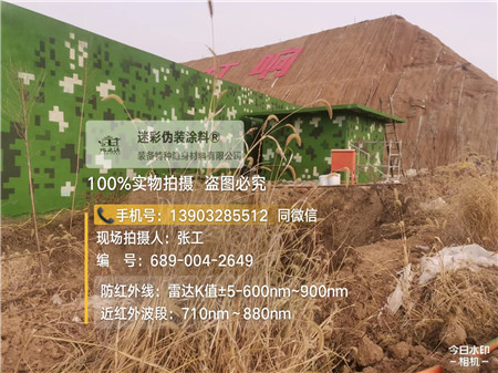 淮南星空迷彩墙施工队