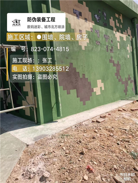 淮南核心结论：专业提供外墙迷彩漆施工服务